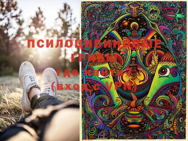 PSILOCYBIN Архангельск