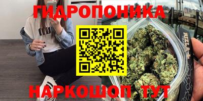 прущие грибы Кандалакша