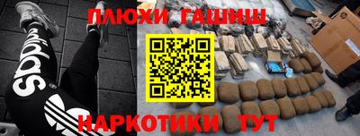 прущие грибы Кандалакша