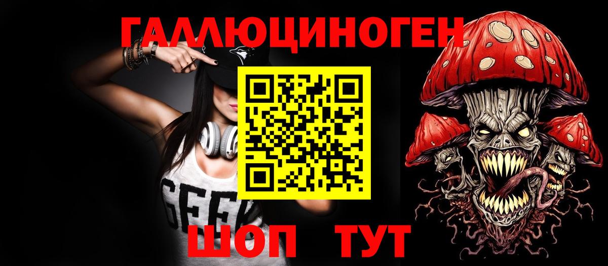 Галлюциногенные грибы Psilocybe  Галлюциногенные грибы Psilocybine cubensis  Тайшет 