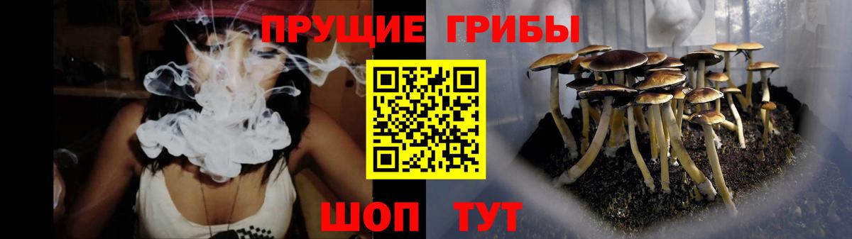 Галлюциногенные грибы мицелий  Вход с VPN  Галлюциногенные грибы MAGIC MUSHROOMS  Тайшет 
